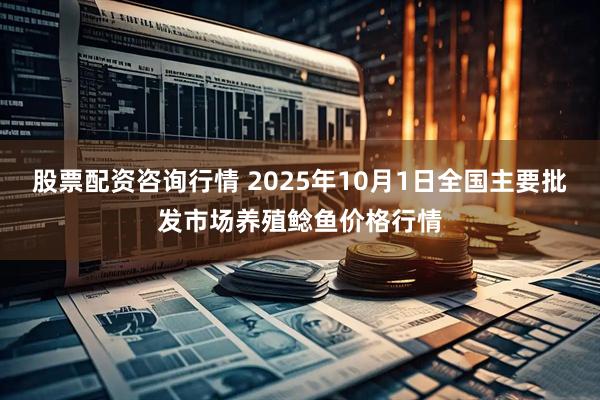 股票配资咨询行情 2025年10月1日全国主要批发市场养殖鲶鱼价格行情