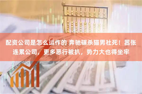 配资公司是怎么运作的 奔驰碾杀猫男社死！嚣张连累公司，更多恶行被扒，势力大也得坐牢